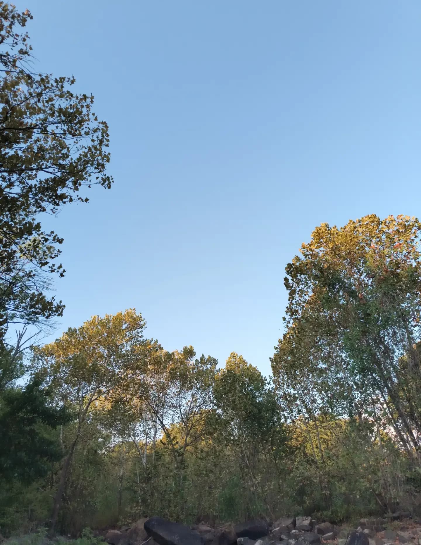 Angel image