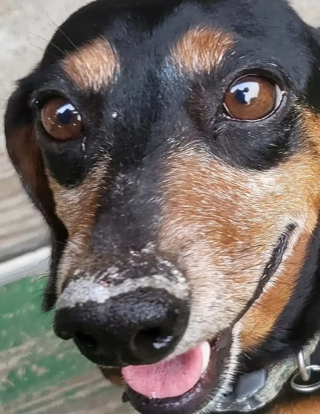 Tina image