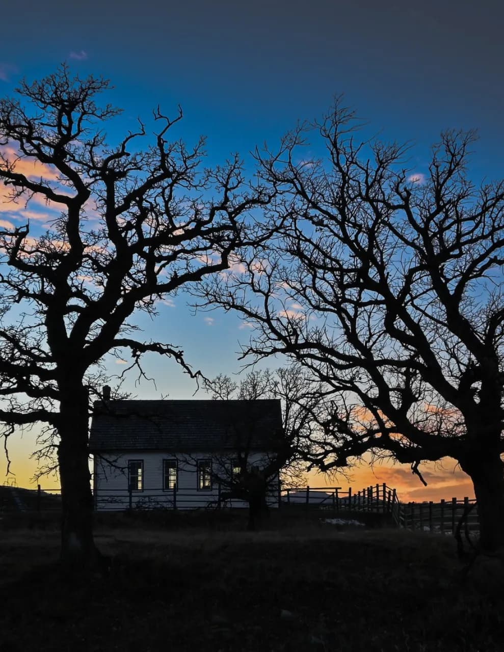 Black Hills Stills image