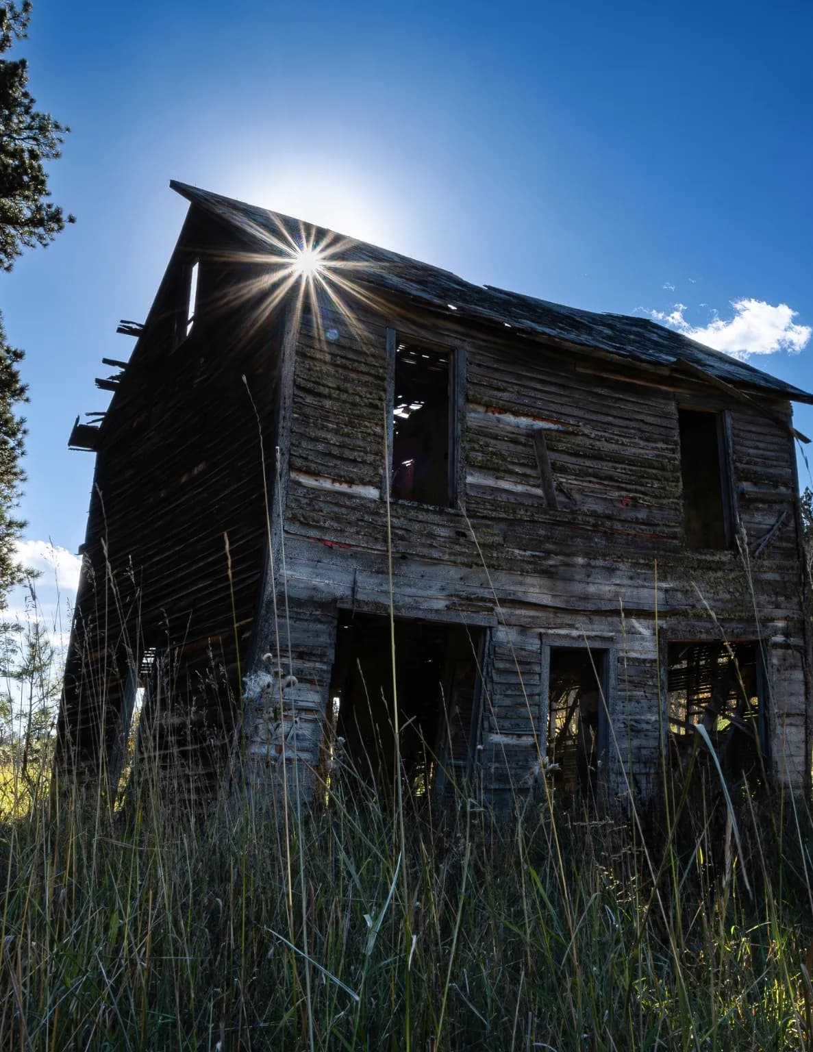 Black Hills Stills image