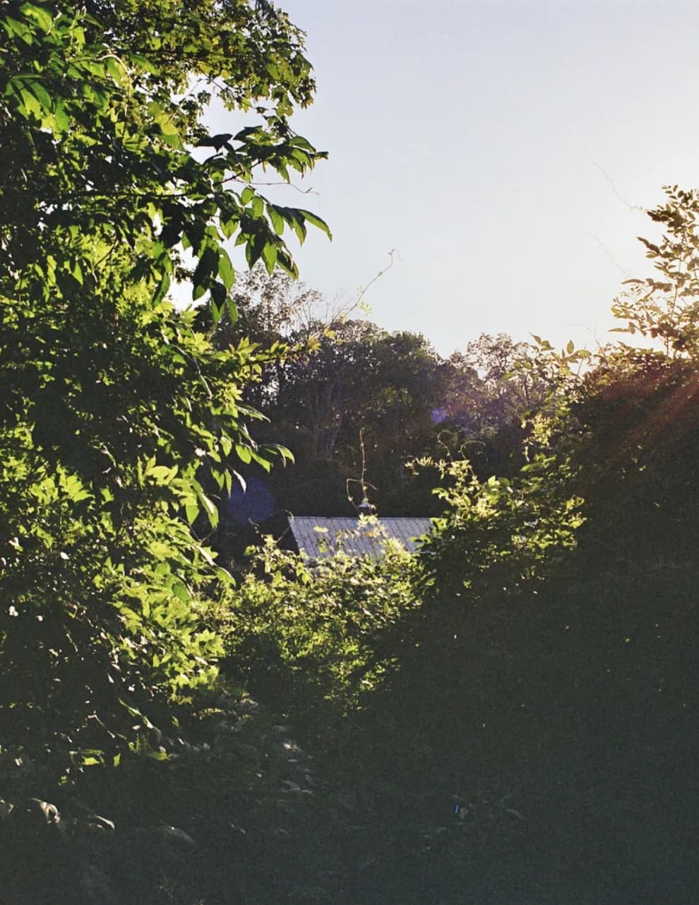 Bishop Lane image