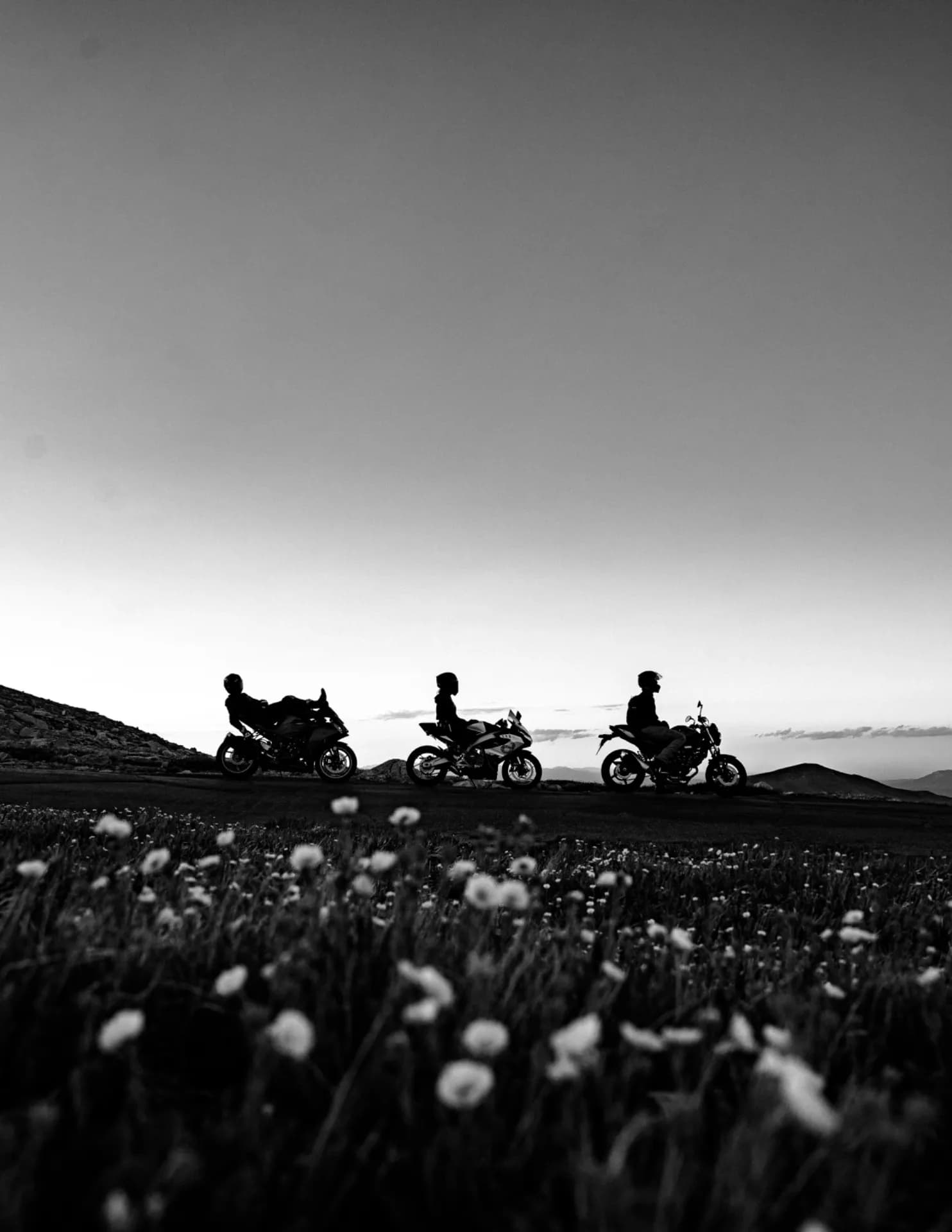 AlexLoPrinzi image