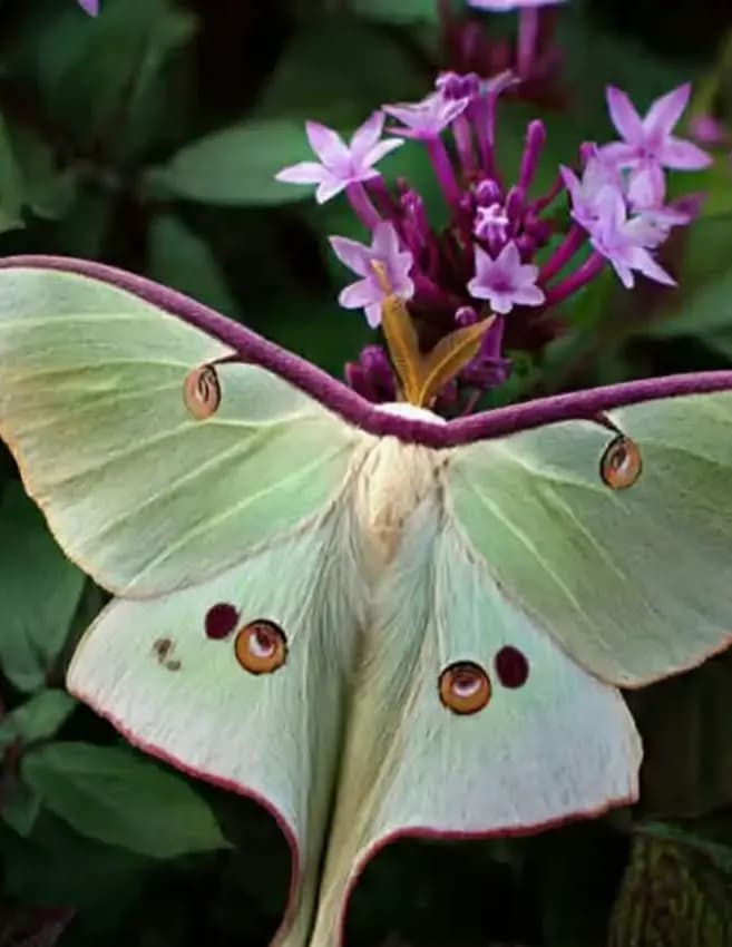 Tammy Vollmer image