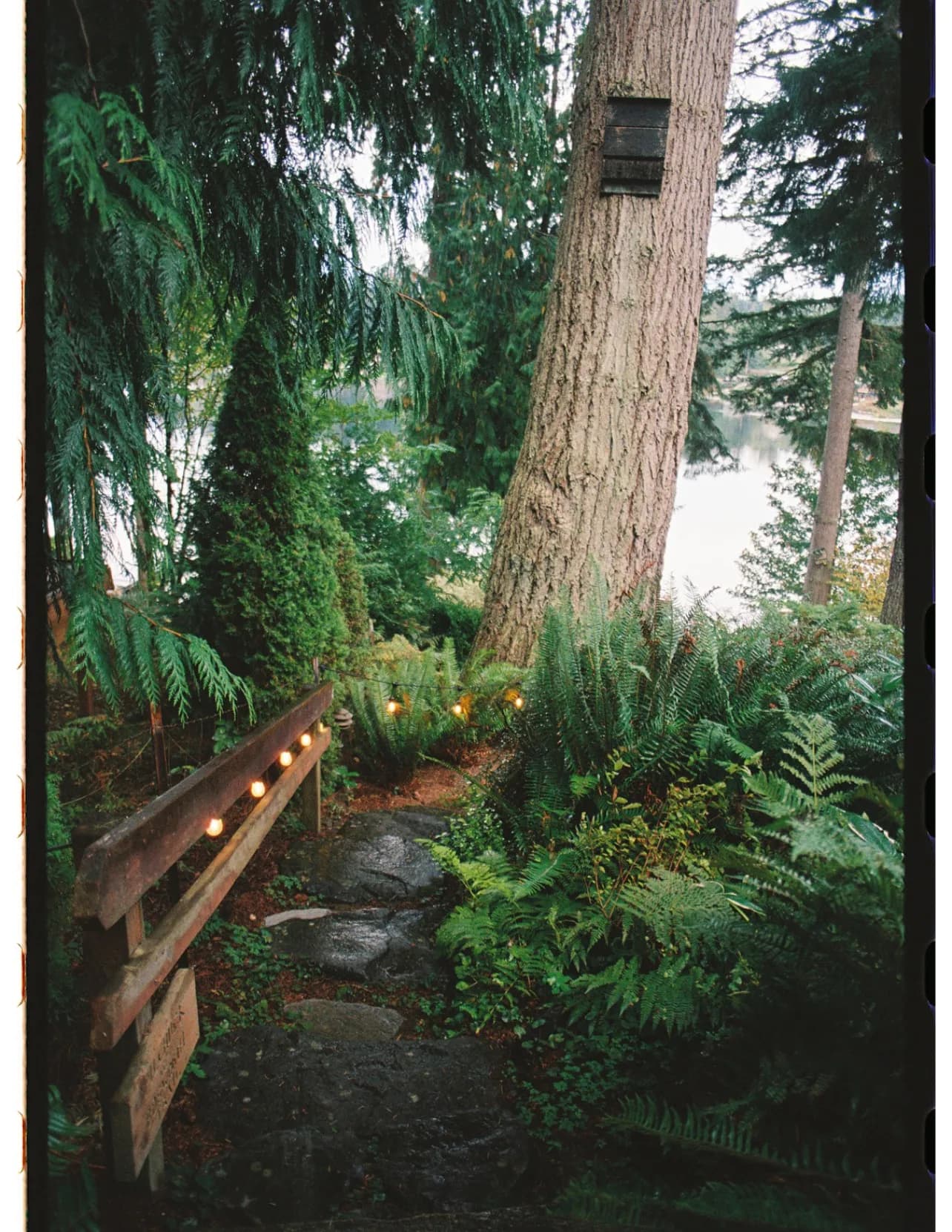 Westonf0wler image