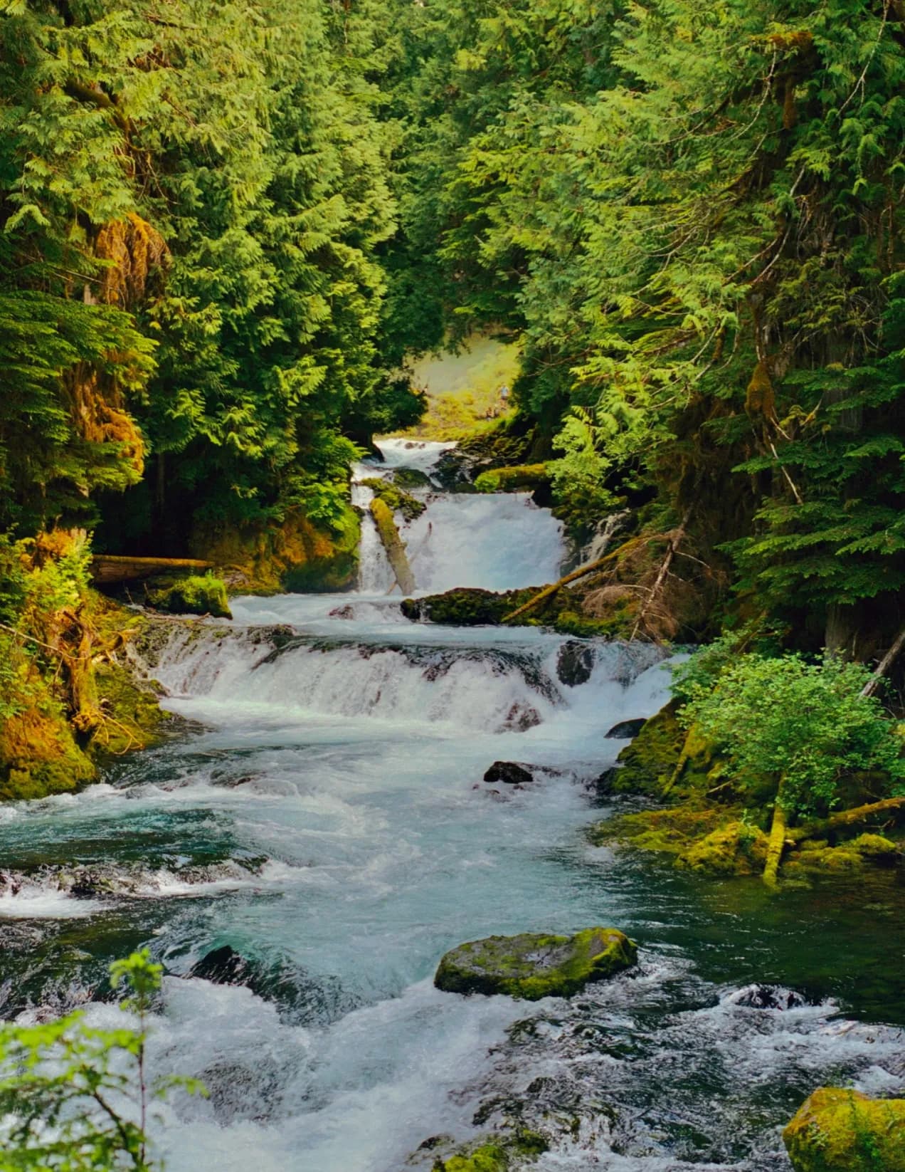 Wesclickspics image