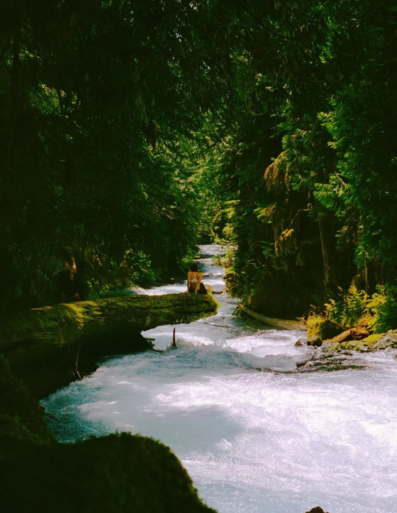 Wesclickspics image