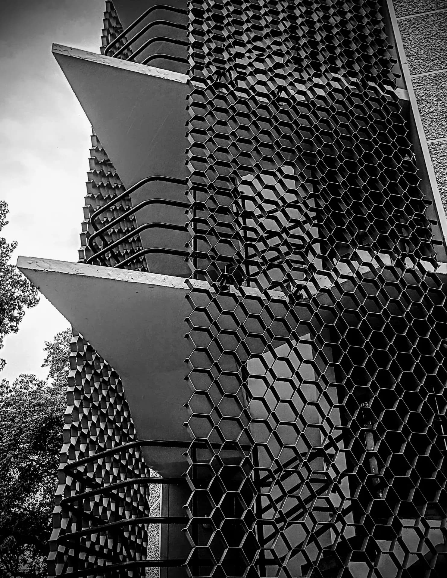 naturalselection_27 image