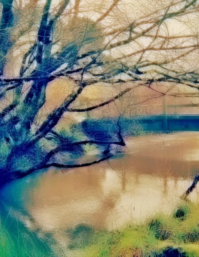 Merriejane image