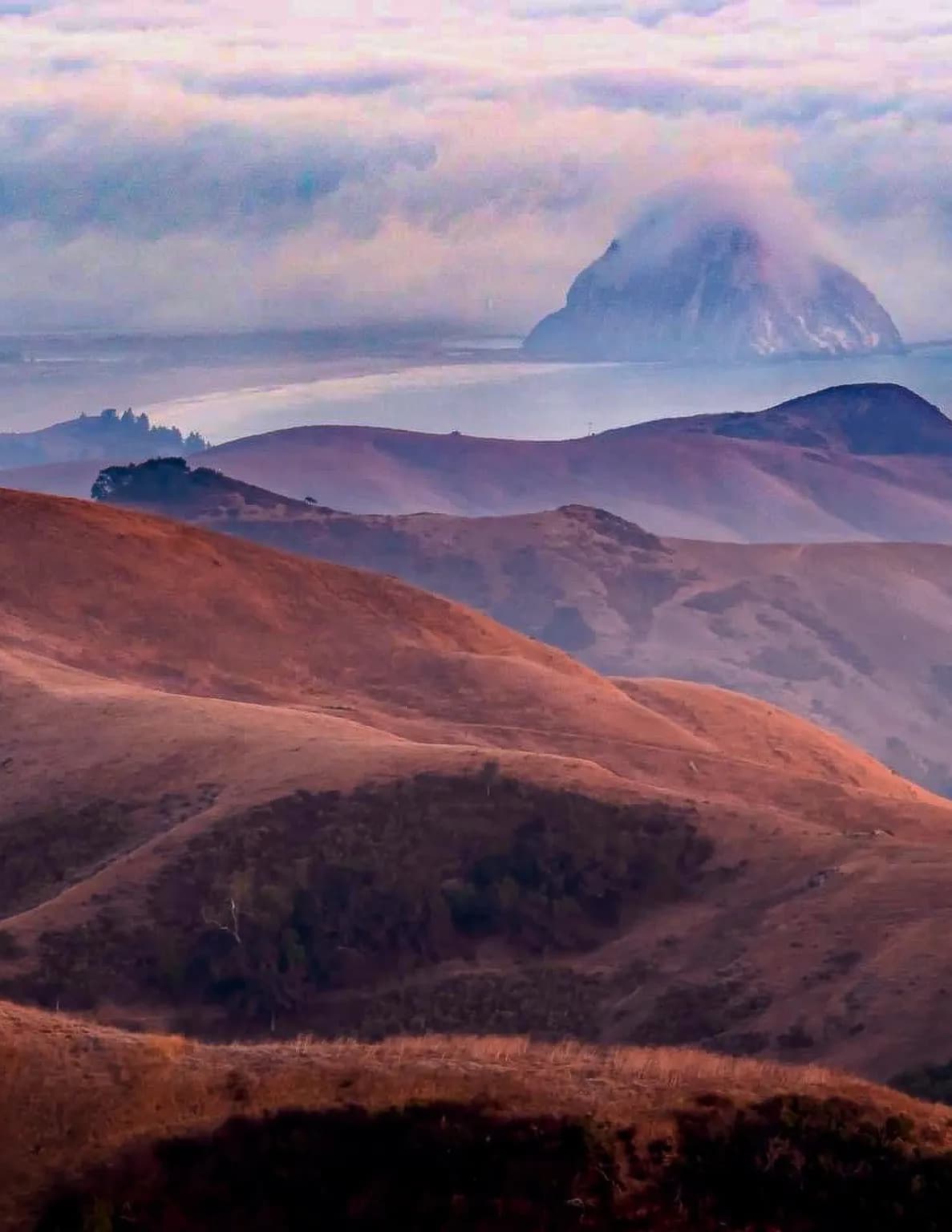 @a_bear_photography image