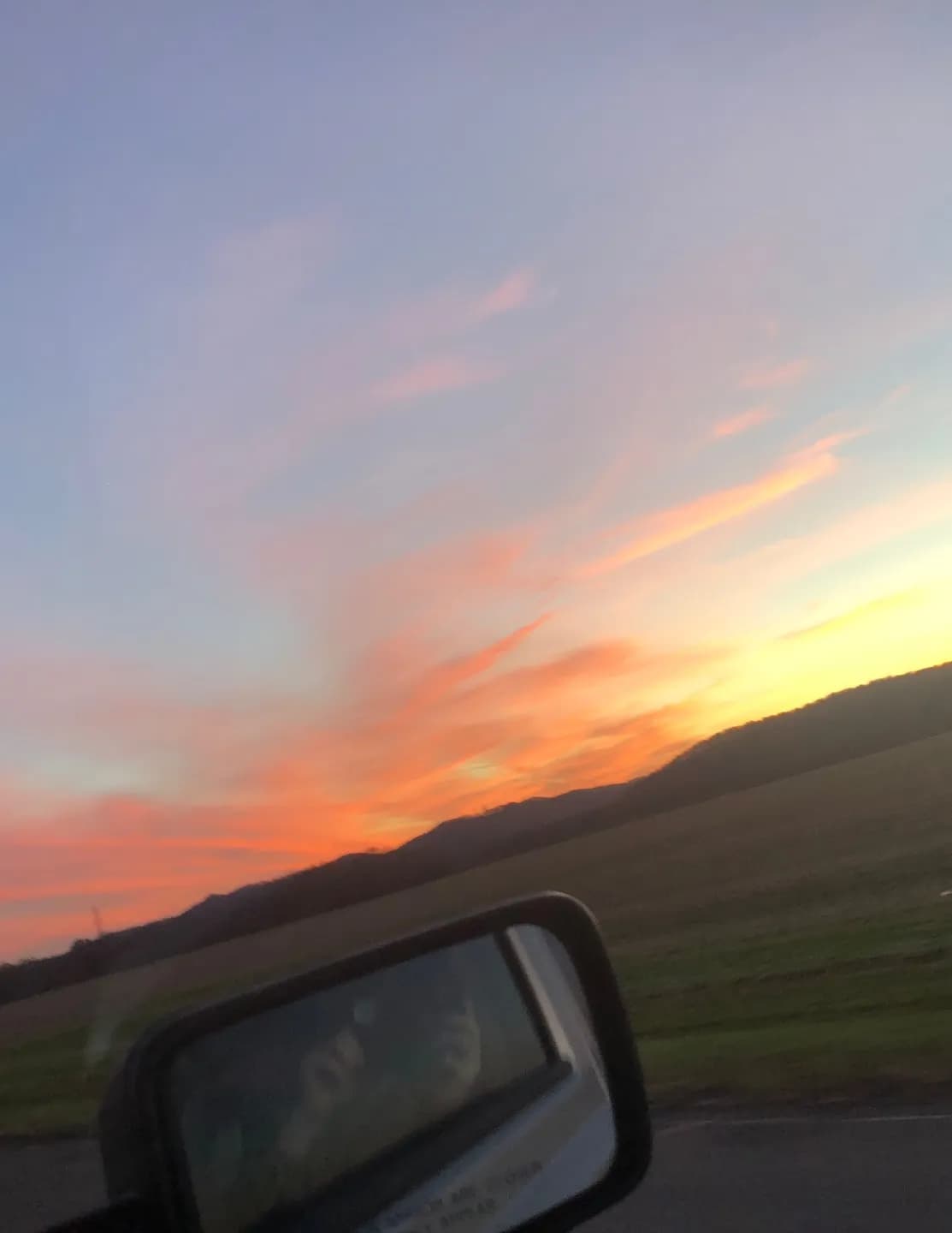 WildWoodSkies image