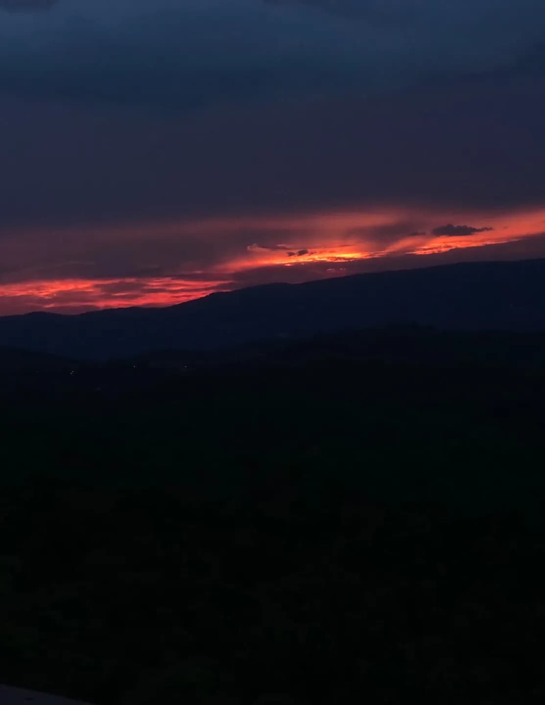 WildWoodSkies image
