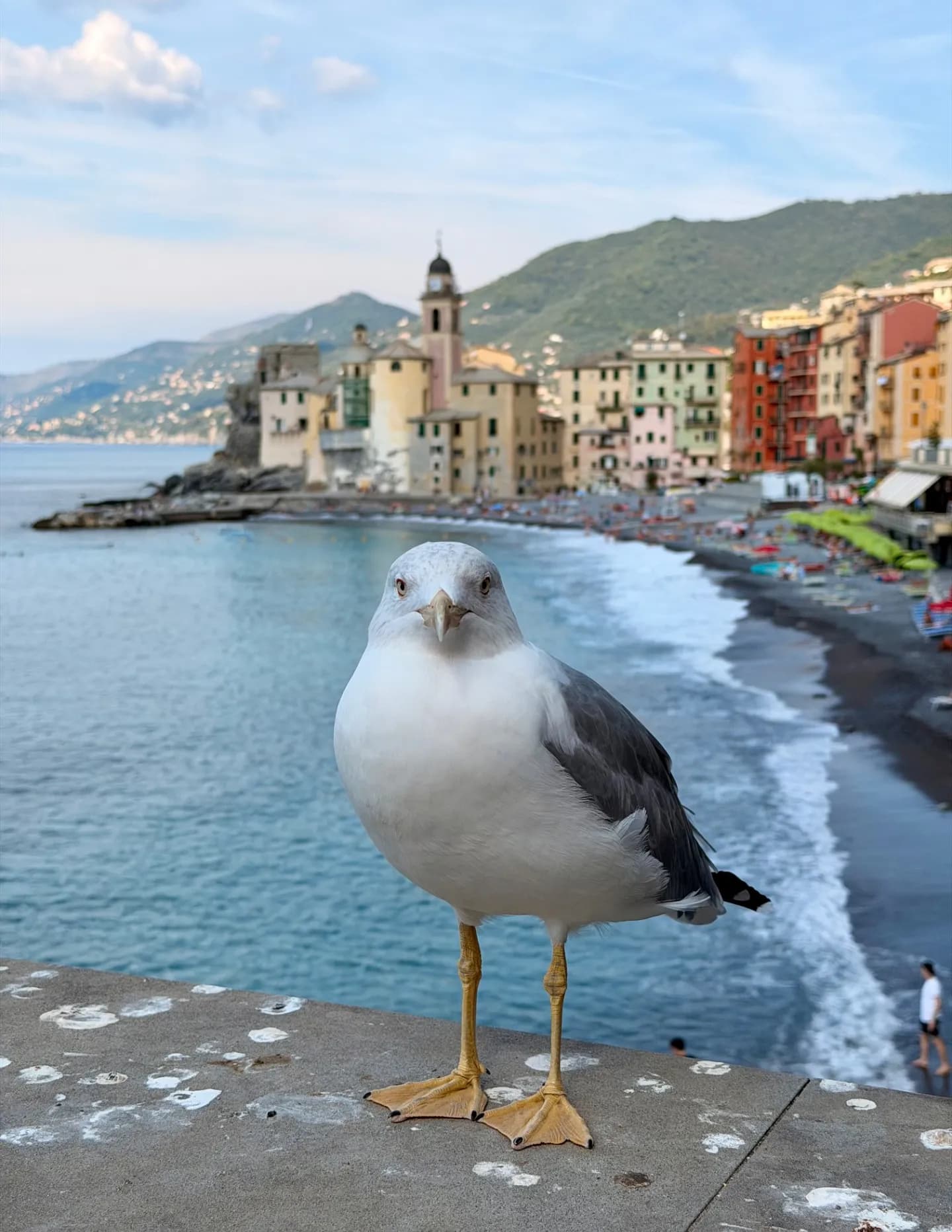 Shetravelswithalens image