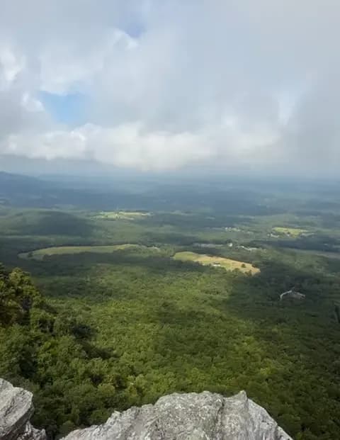 Wildcorn image