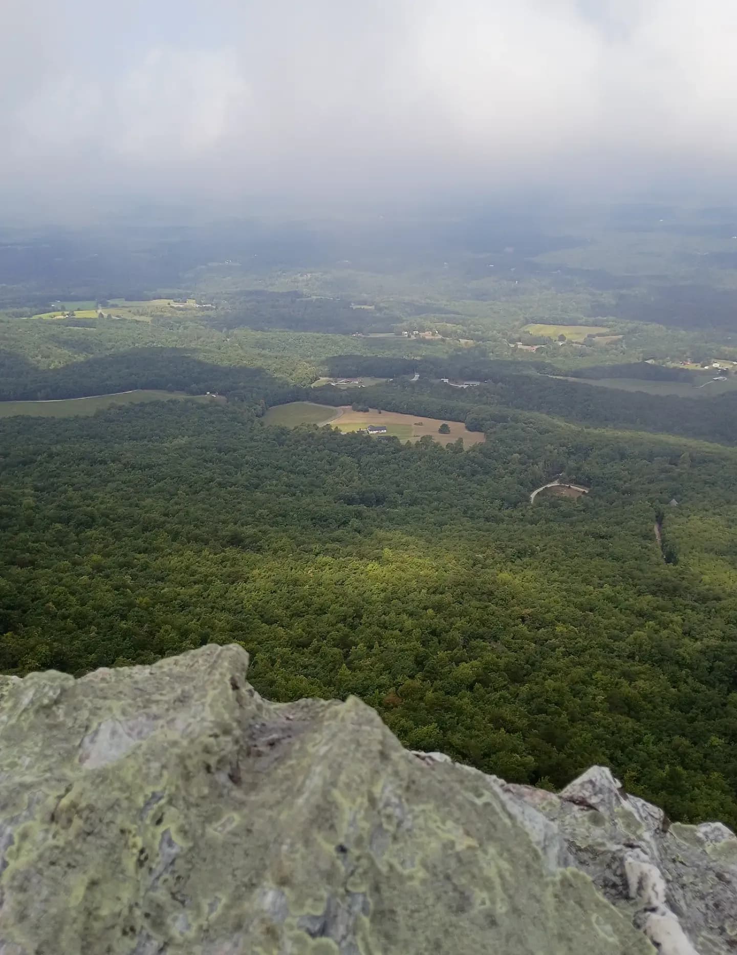 Wildcorn image