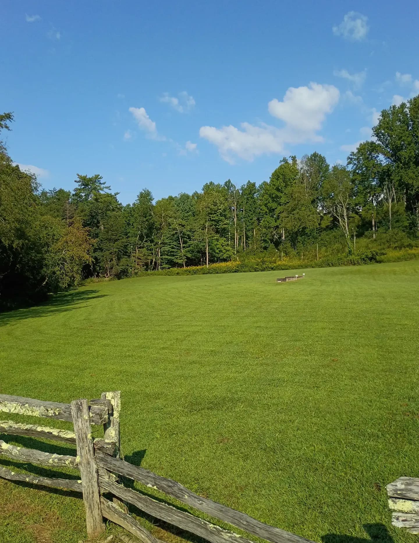 Wildcorn image
