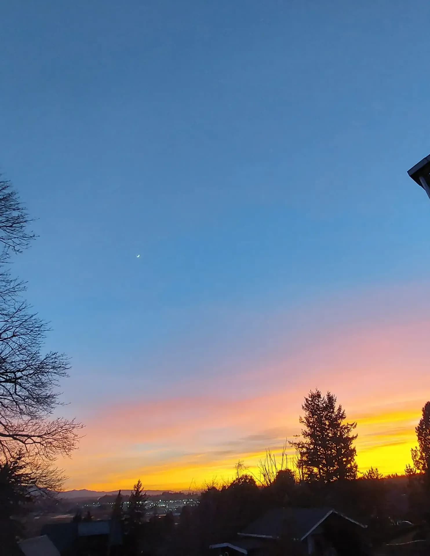 competitor 0DrQL