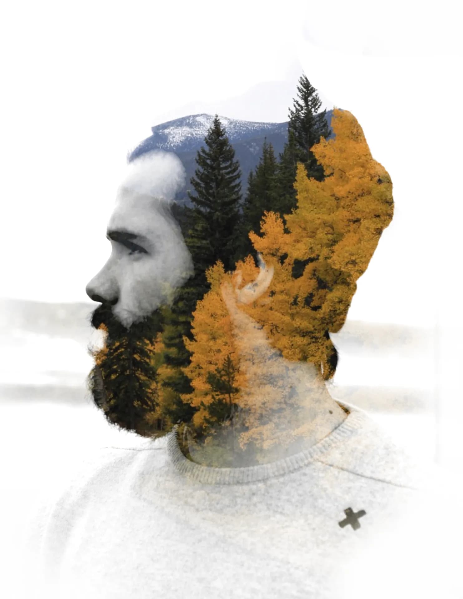 Timothy Lawrence image