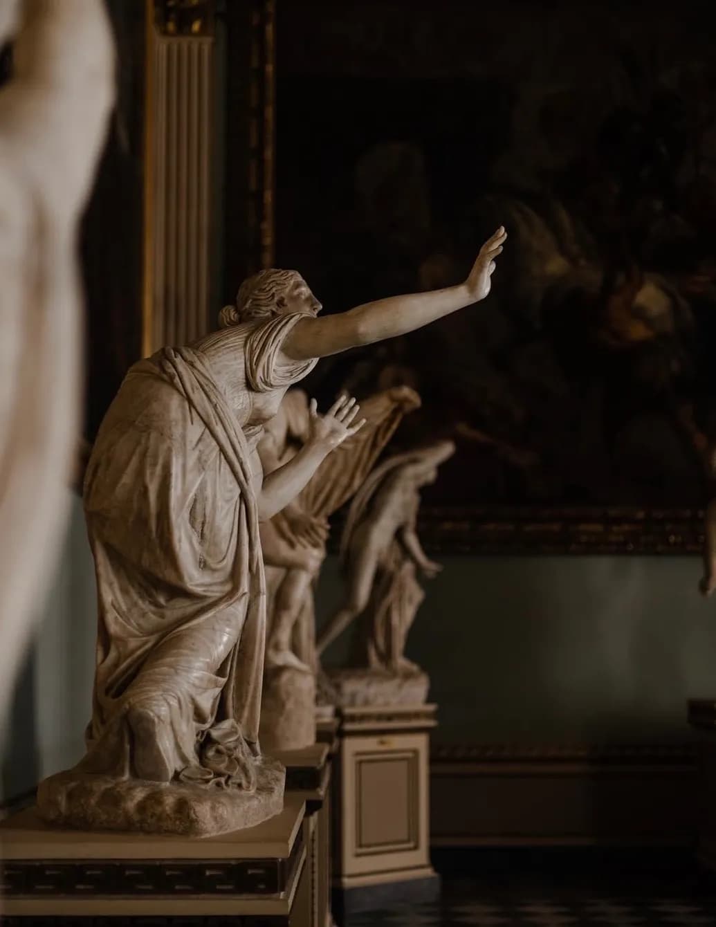competitor z7oDn