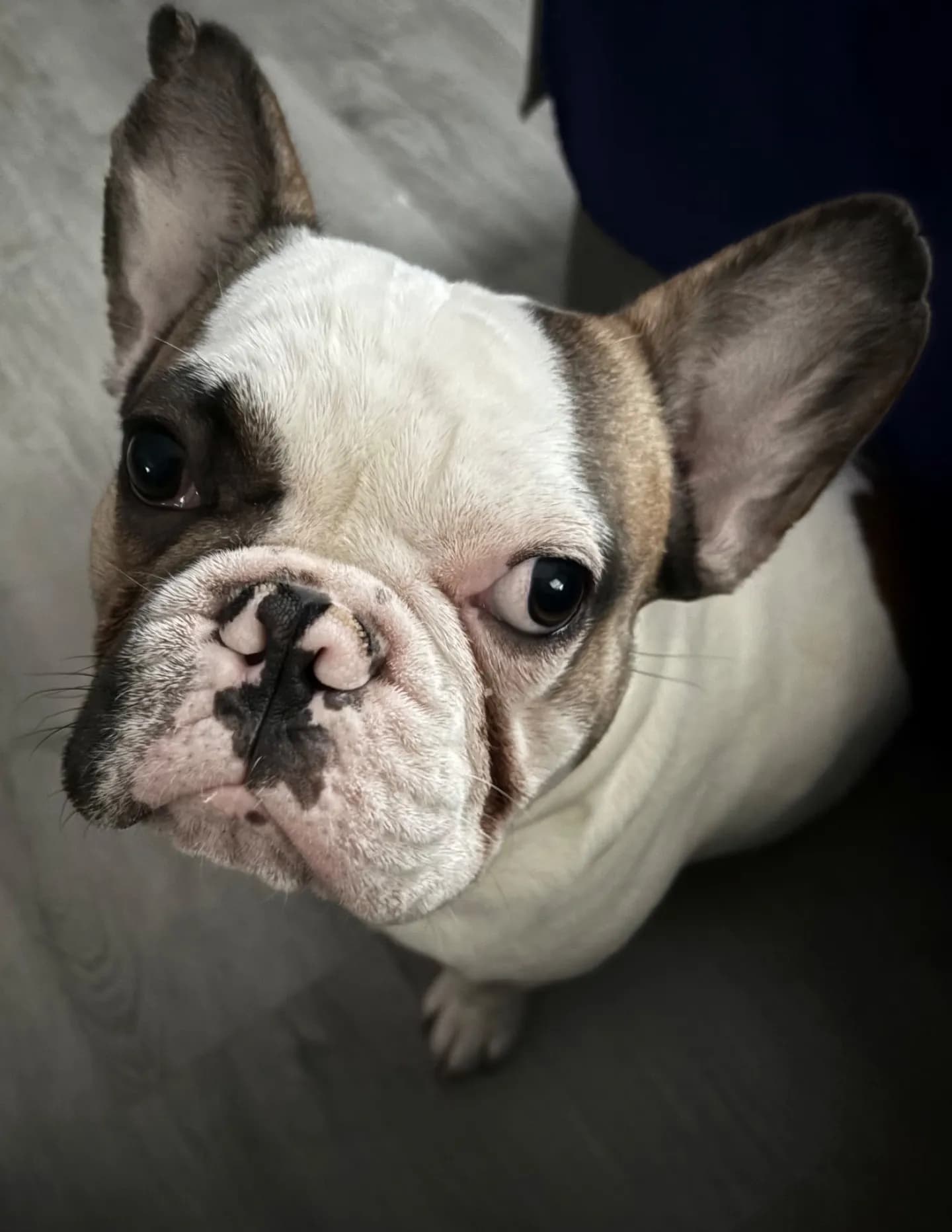 Nanny image