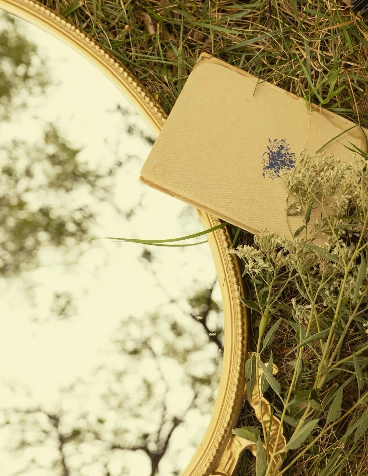 Andieleighphotography image