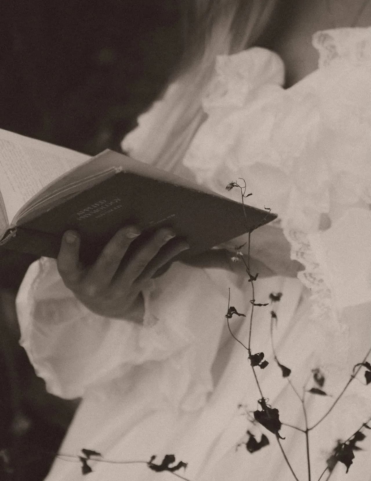 Andieleighphotography image