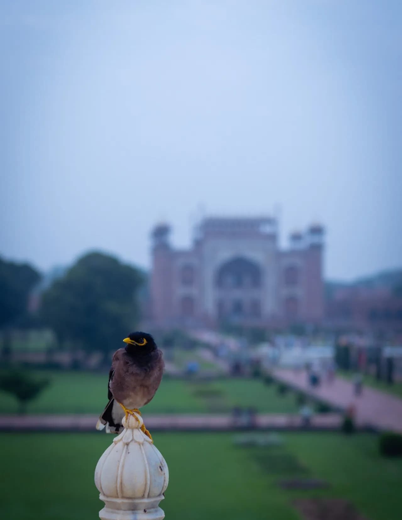 Bannu image