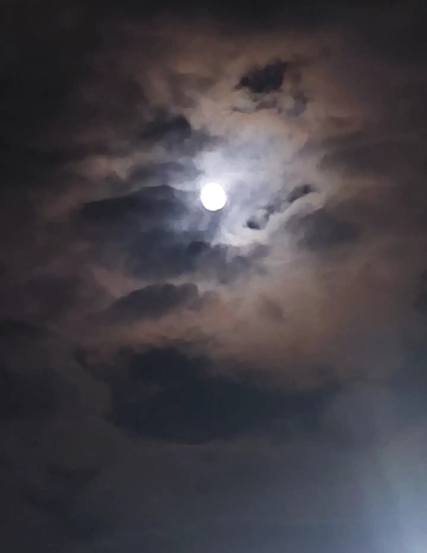 Damien image