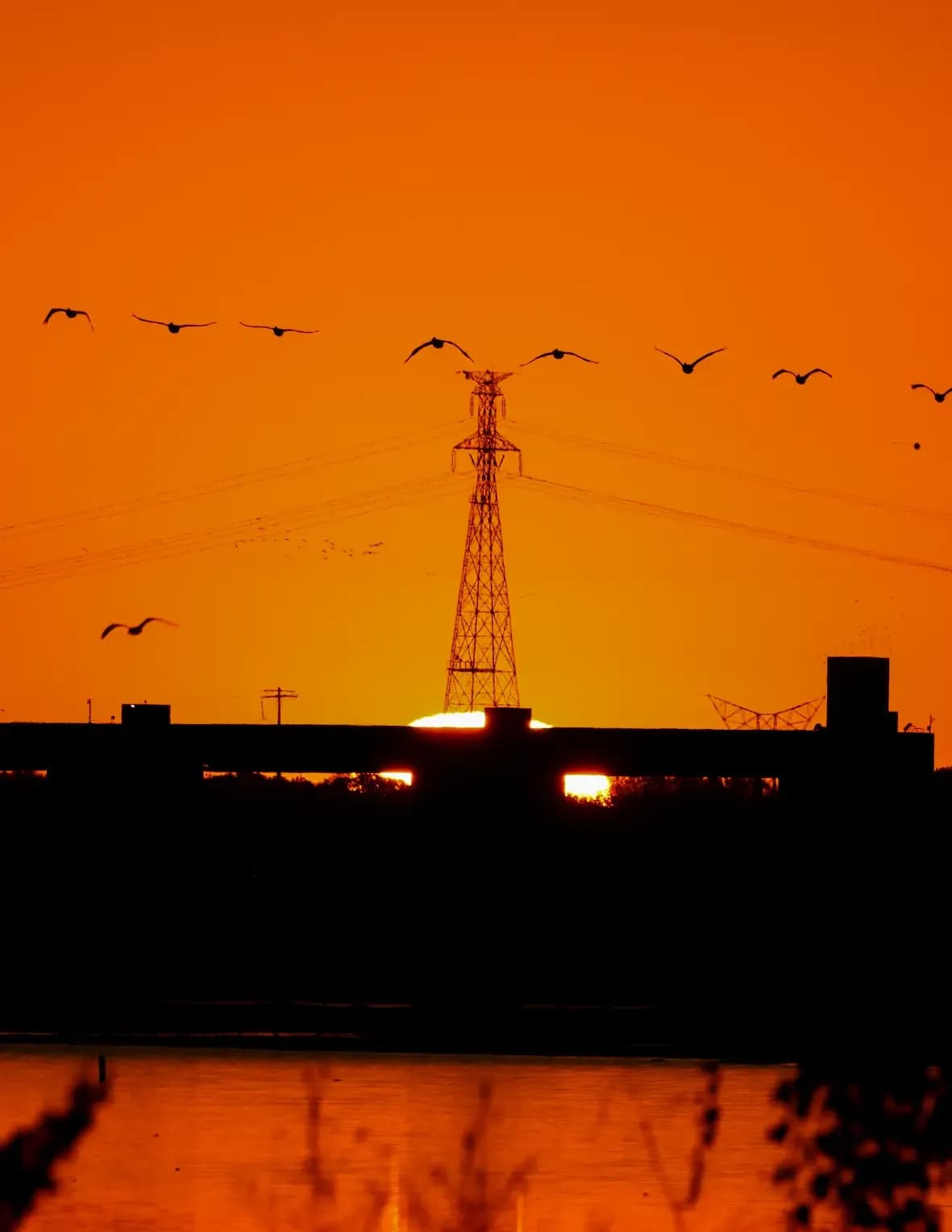Asivphotos image