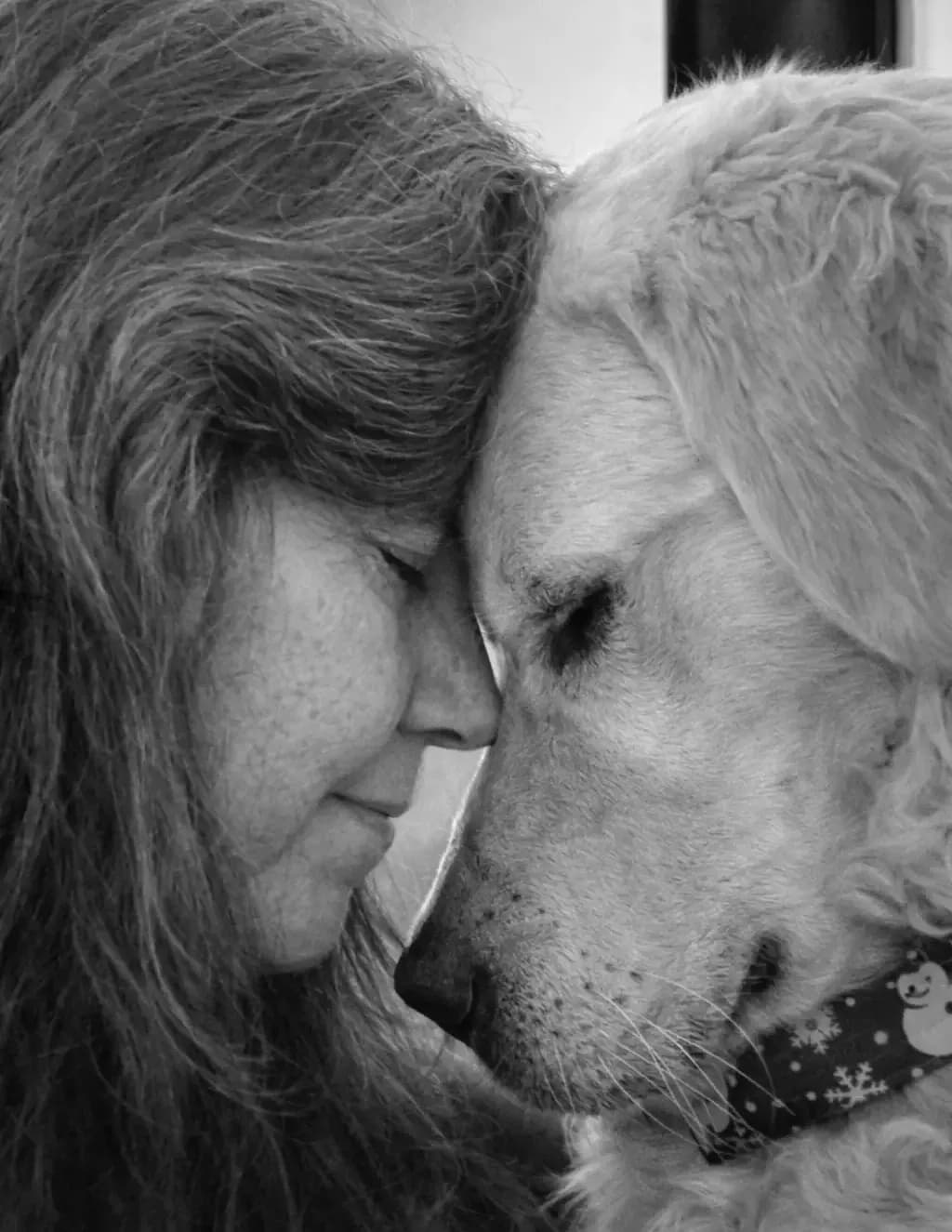 Sherry Sparks image