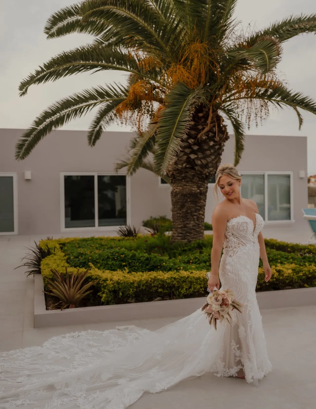Sarah Volpe image