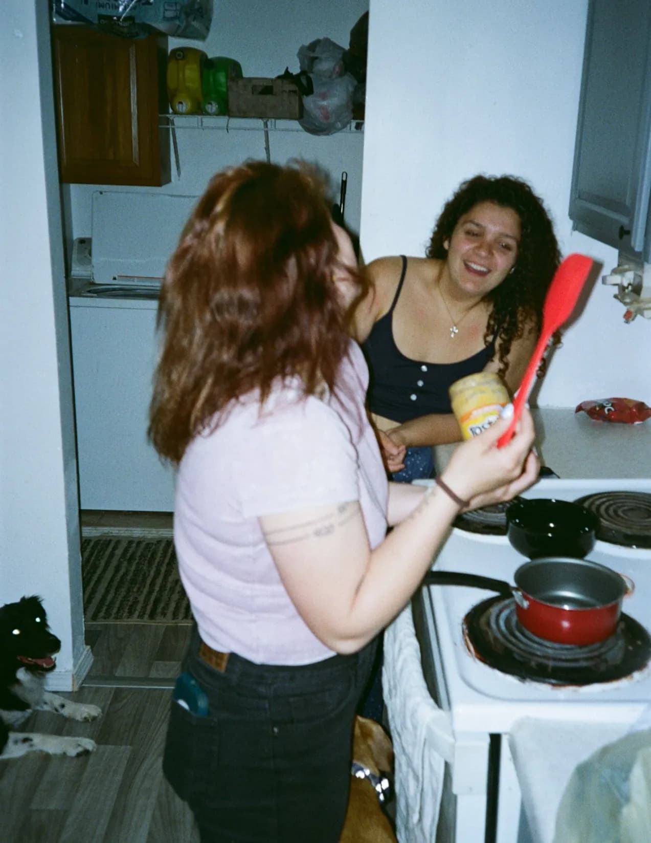 Donovan image