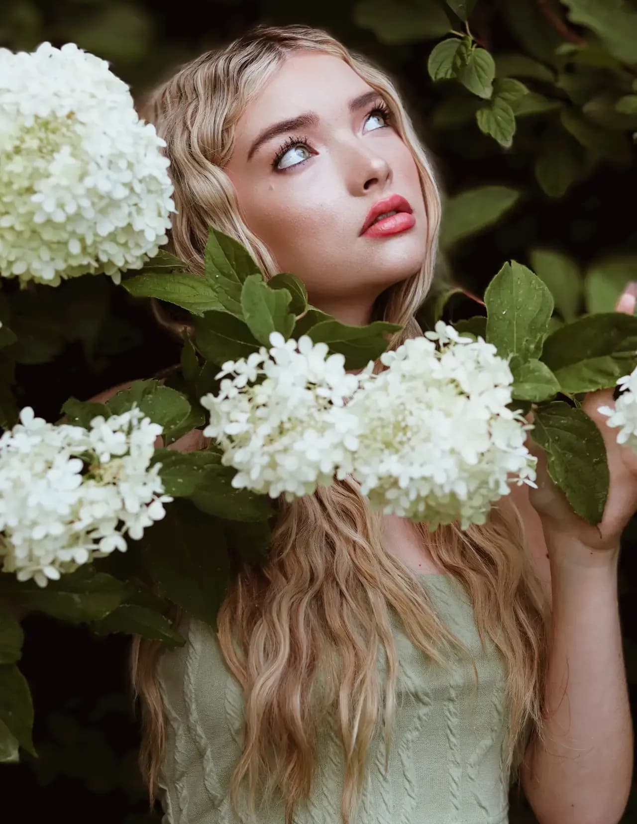 Jamie Covell image