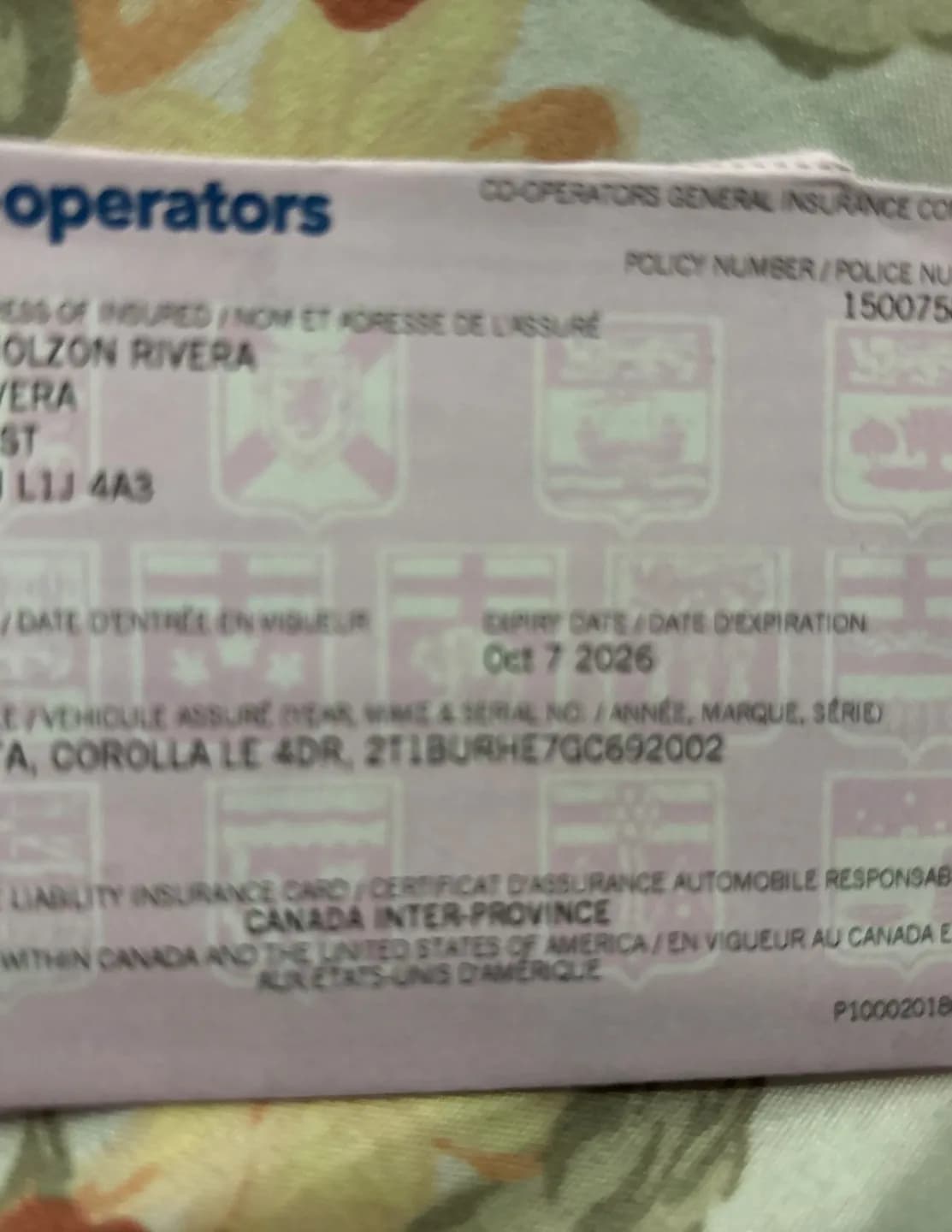 Nicolas Rivera image