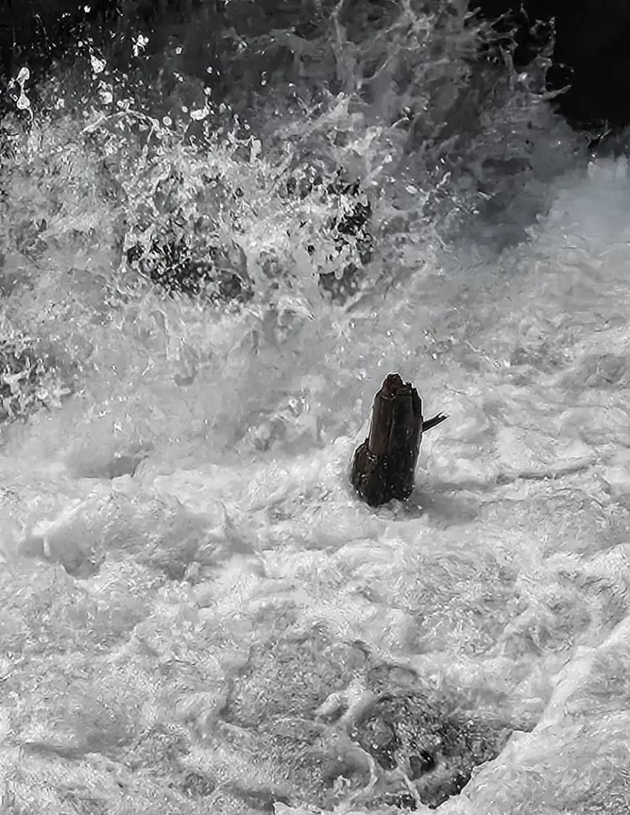 Sea image