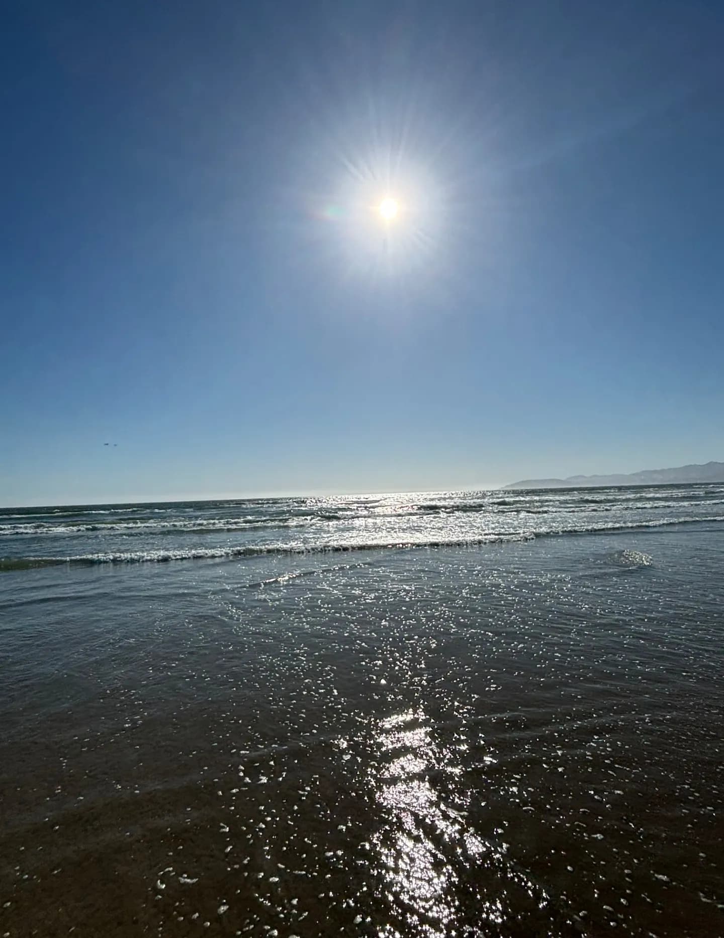 MissyAnn81 image