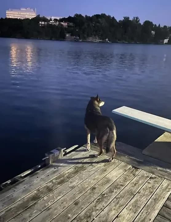 Canada's Cottage Life image