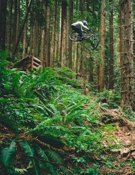 Liam Wallace image