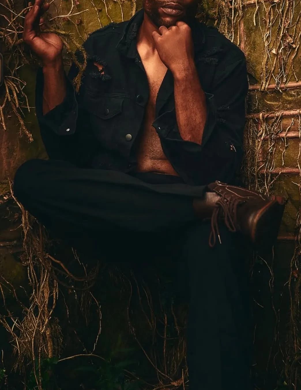 Alfonso image