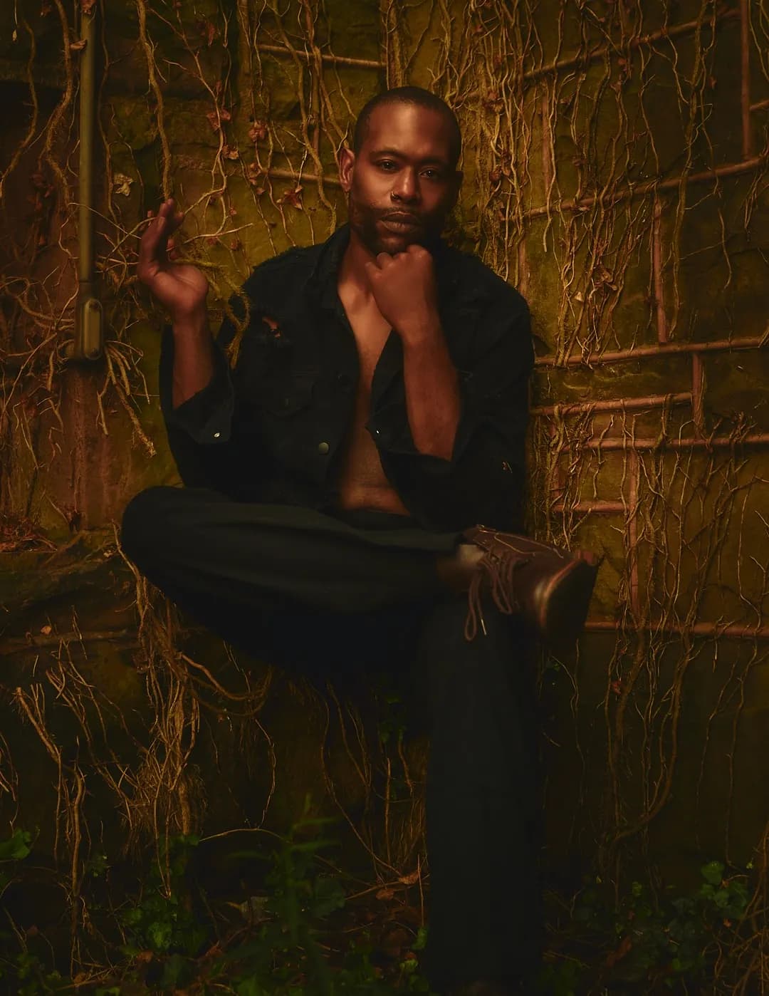 Alfonso image