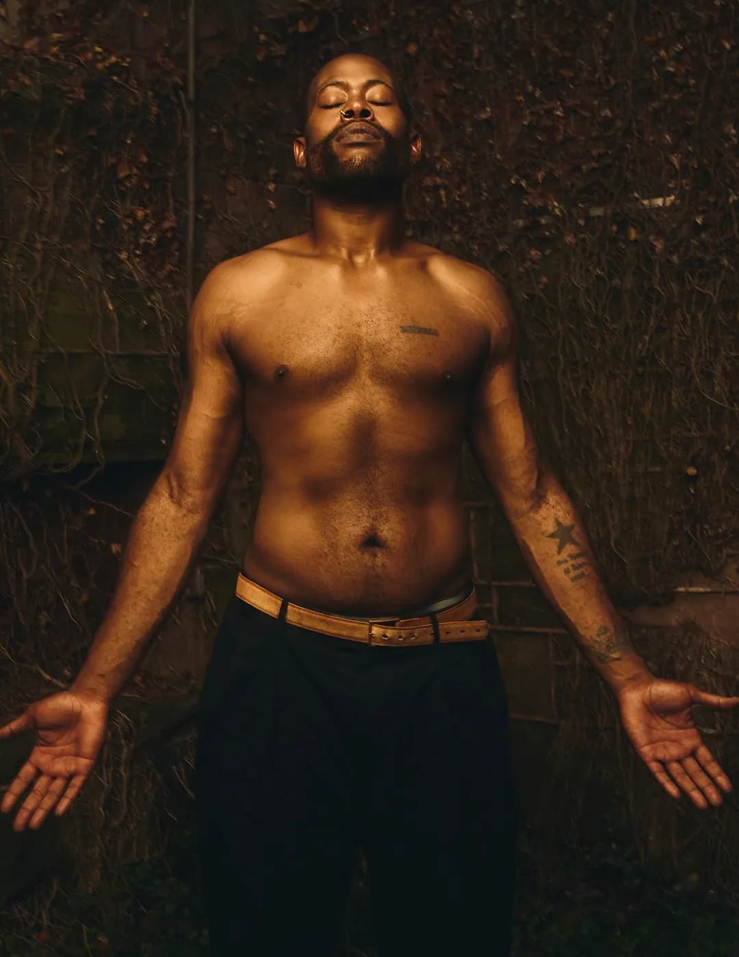 Alfonso image