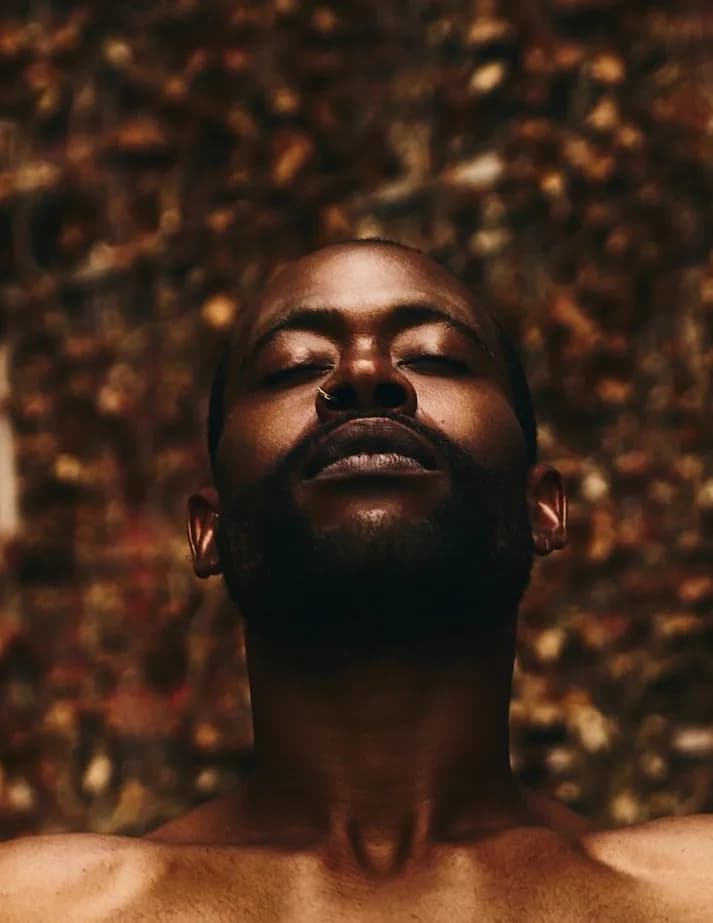 Alfonso image