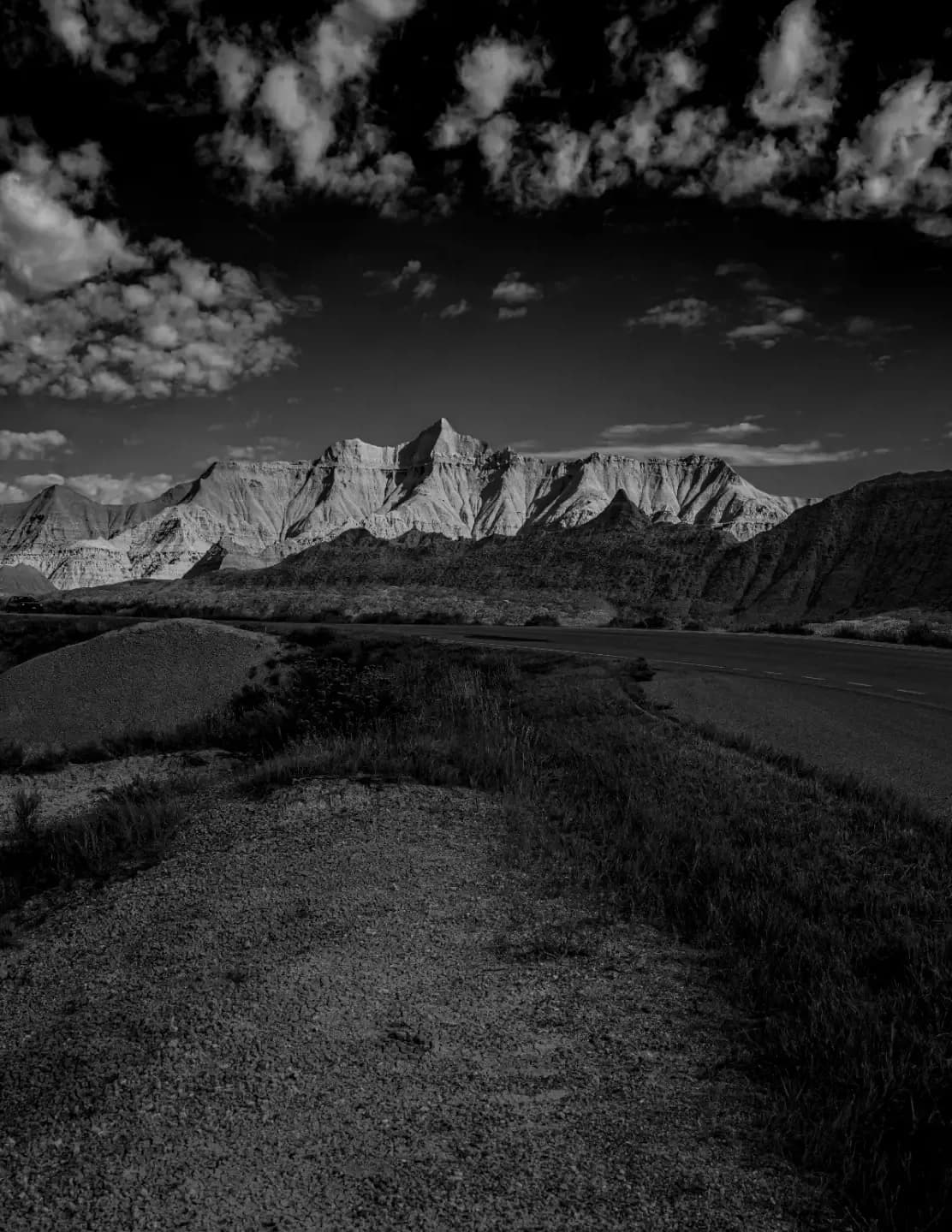 David Harrington image