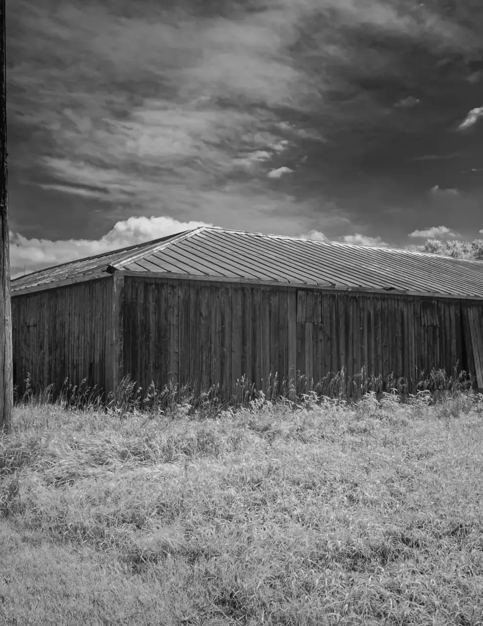 David Harrington image