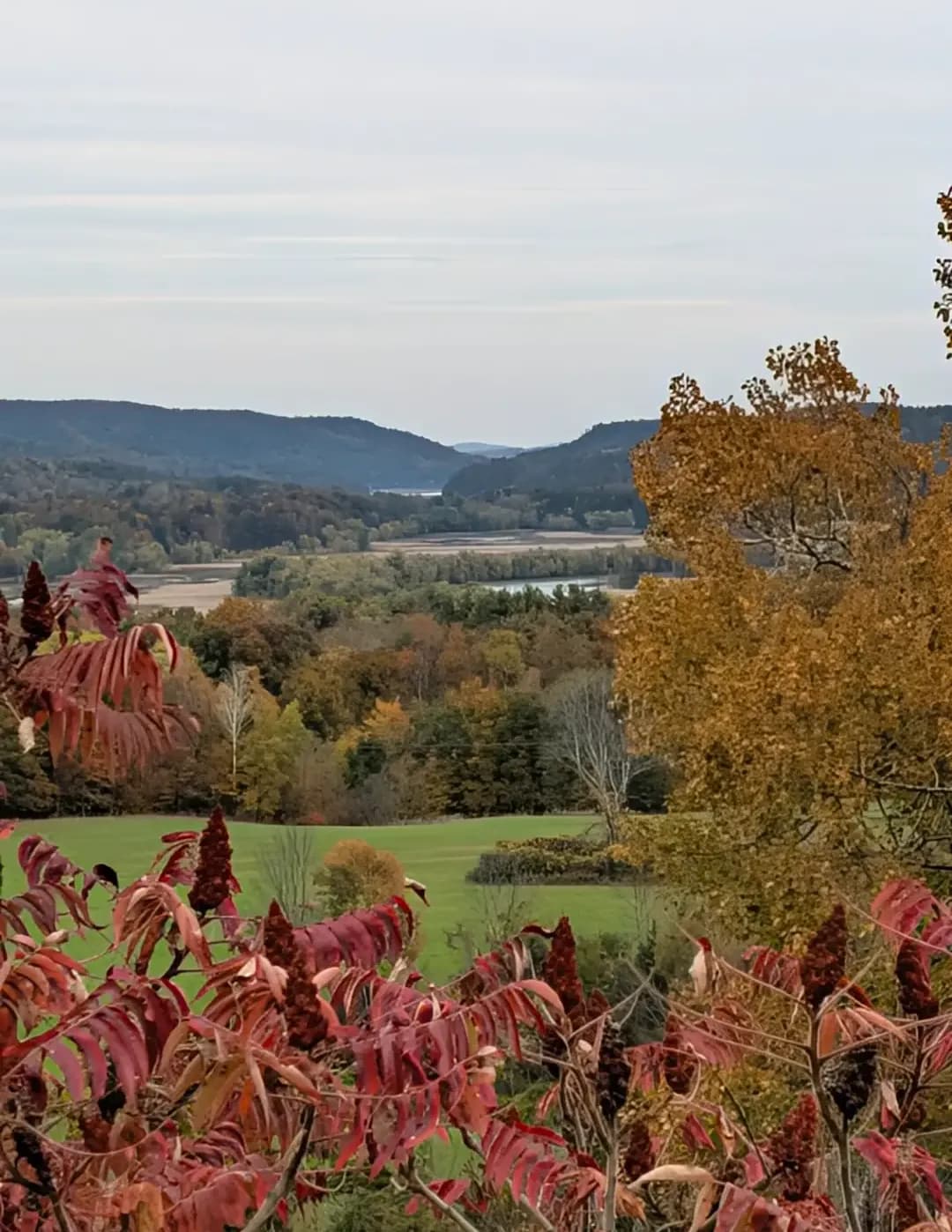 cutlassrag70 image