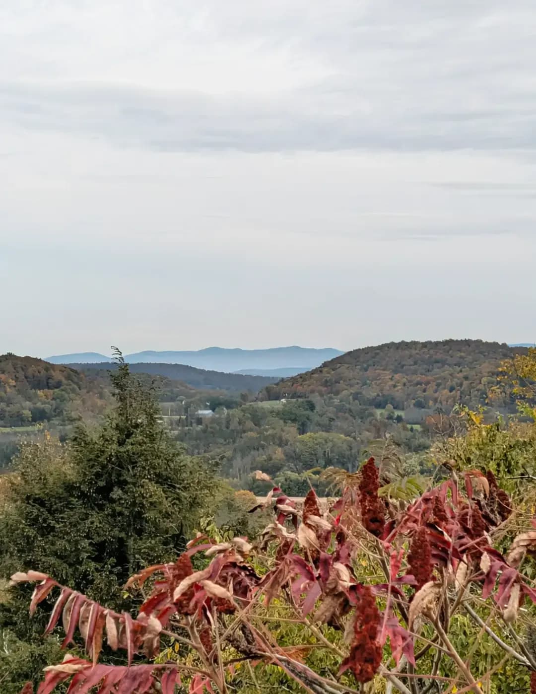 cutlassrag70 image