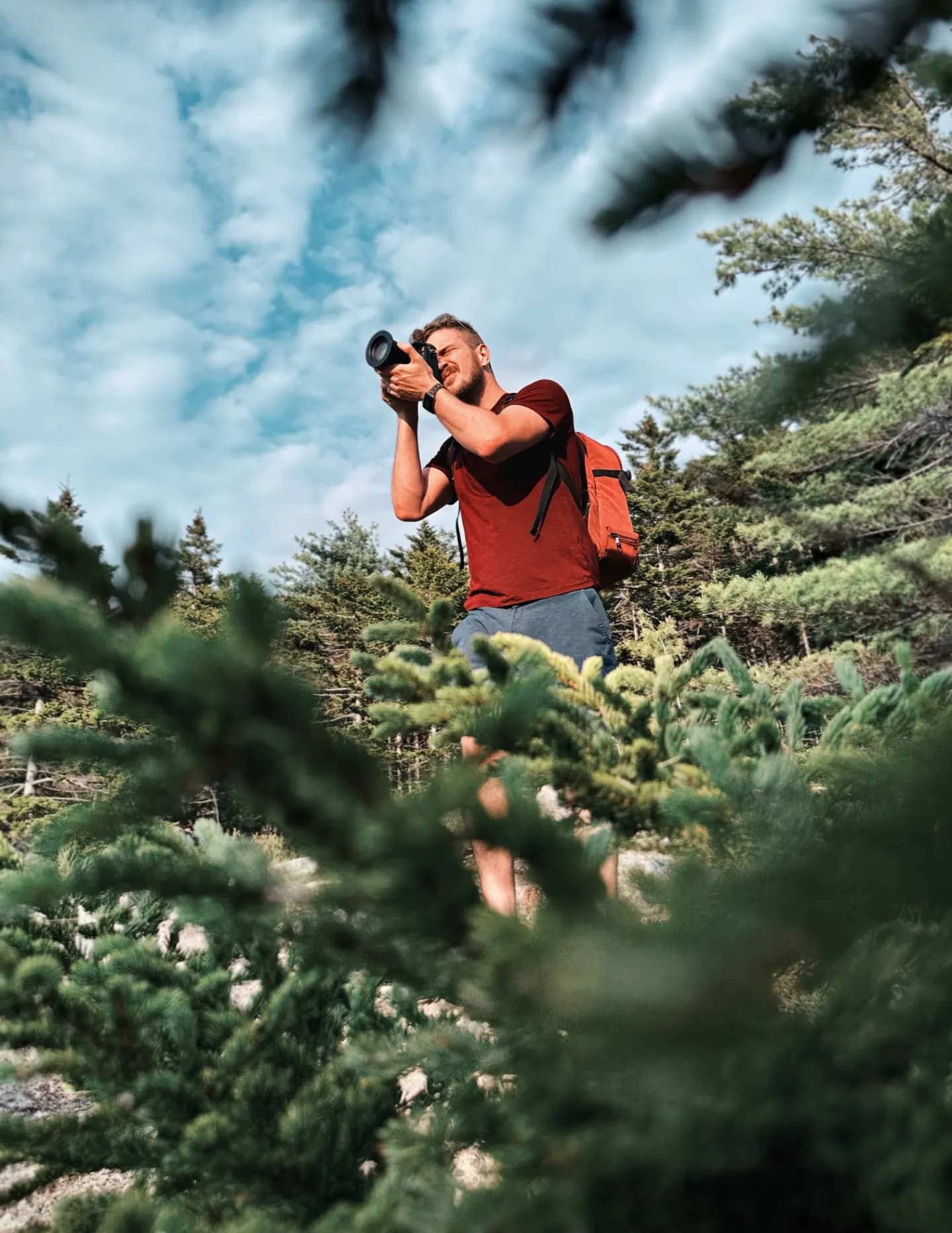 Dan Wood image