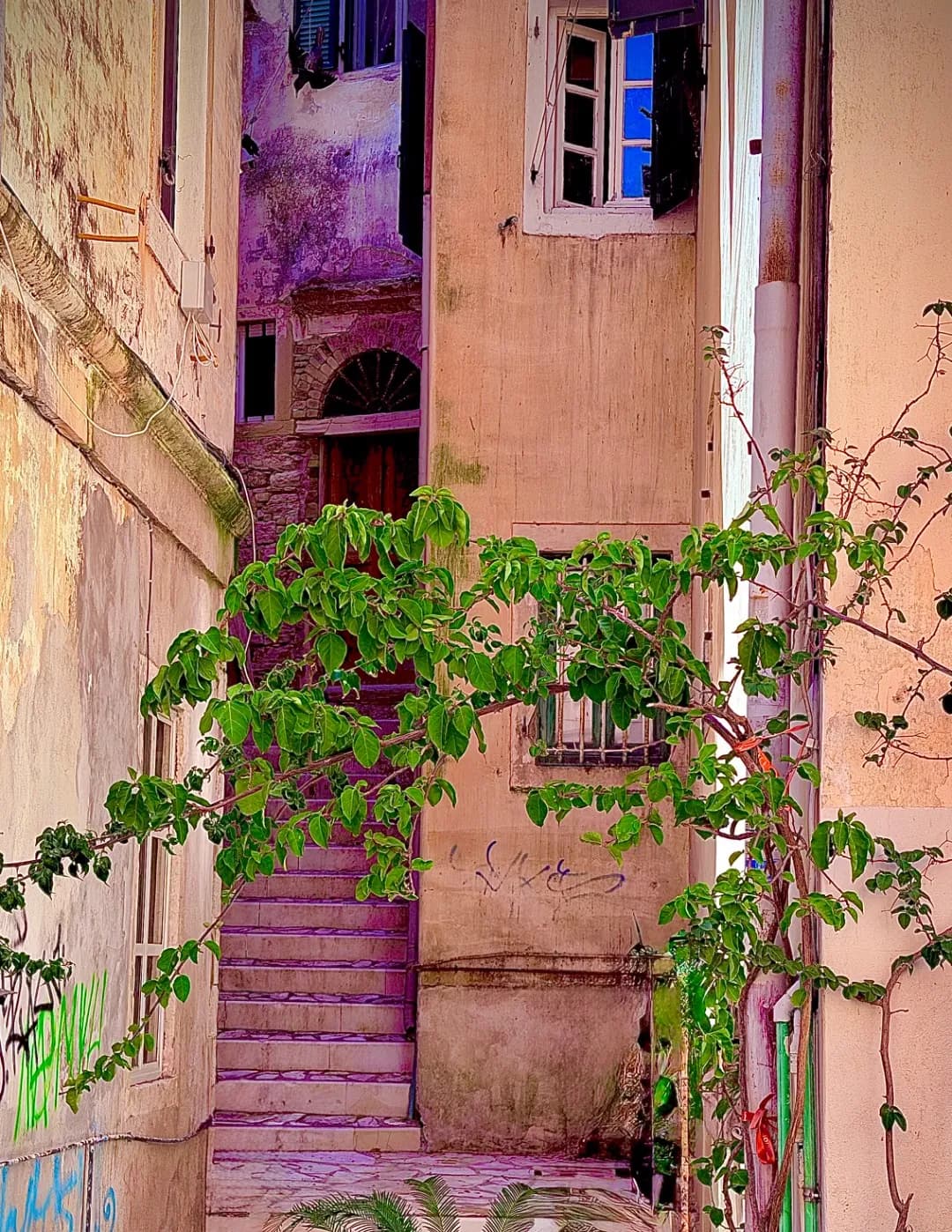 Hostedluxury image