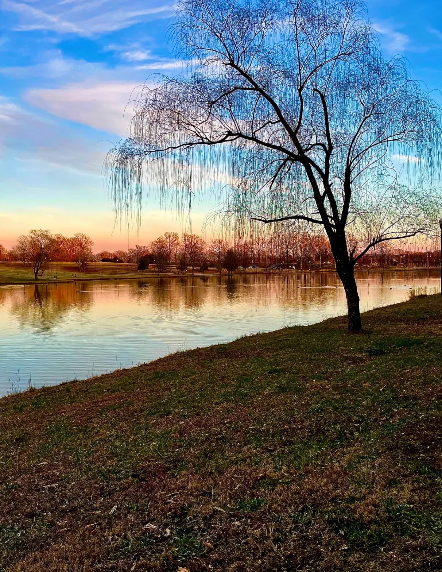 Autumn Moser image