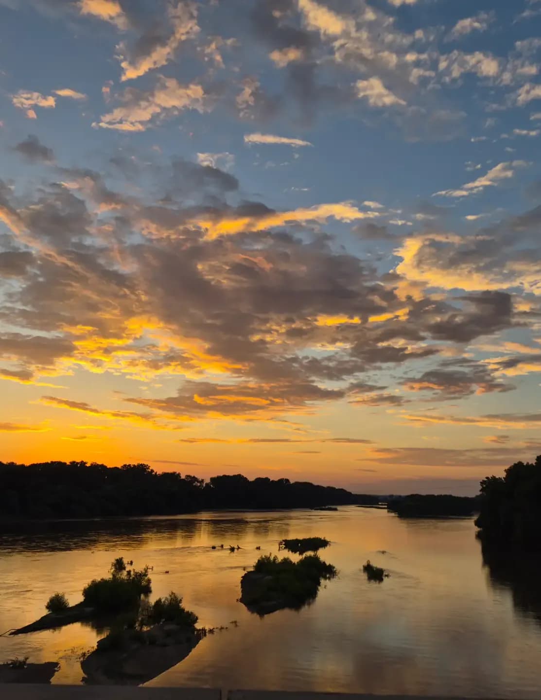 Shauna Weber McKeever  image