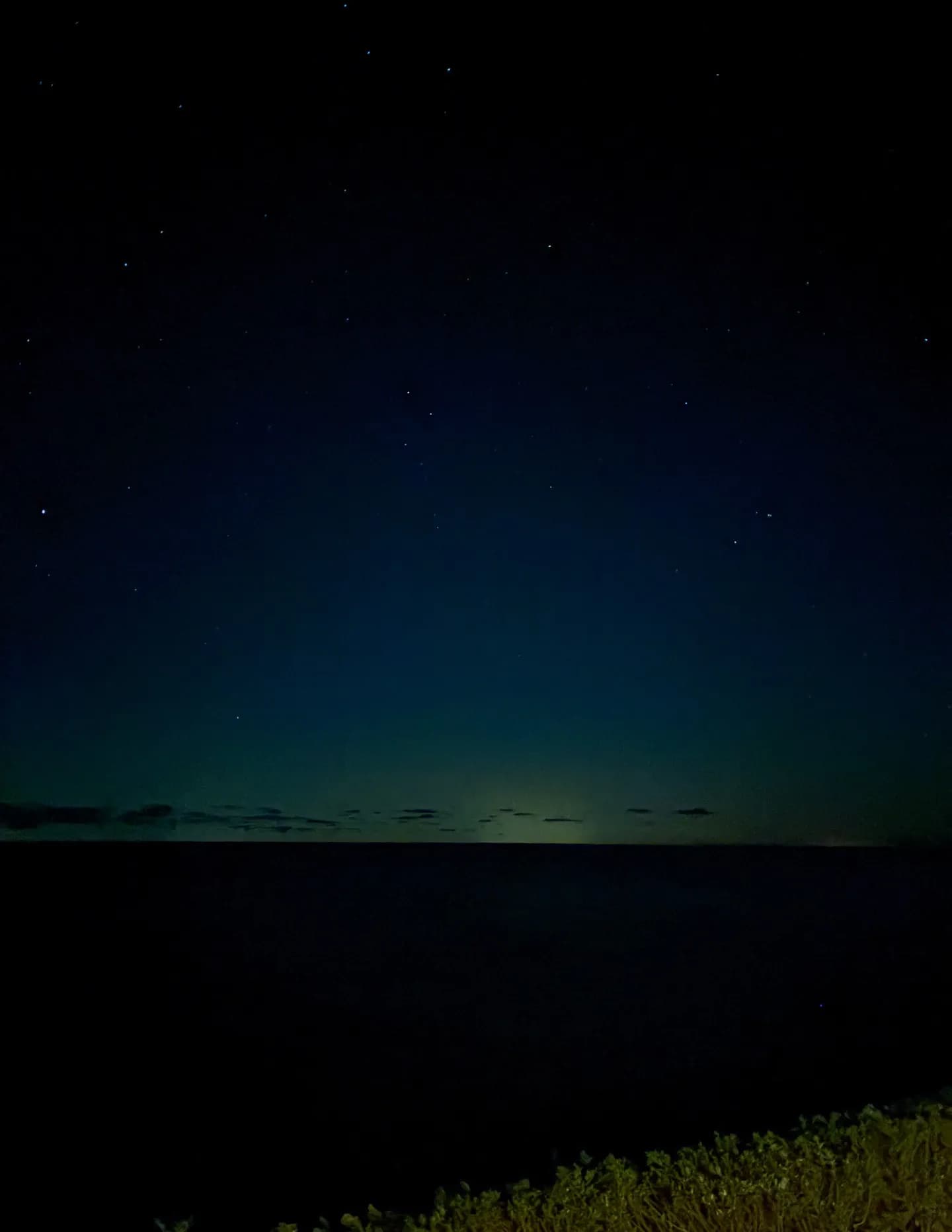 kiiisu image